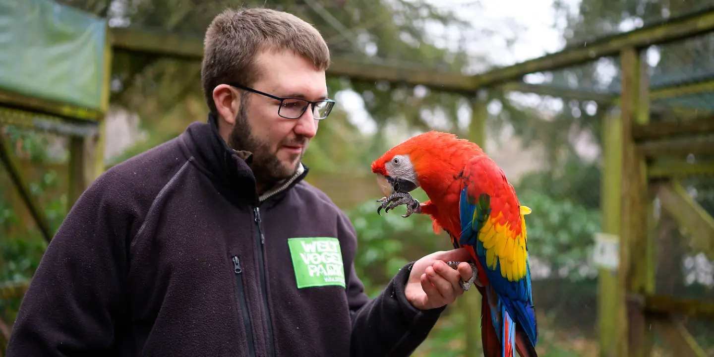 Vogelpark_Walsrode.jpg