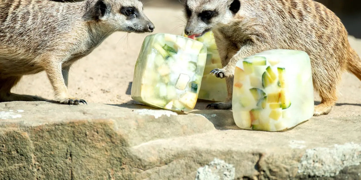 zoos_niedersachsen.jpg