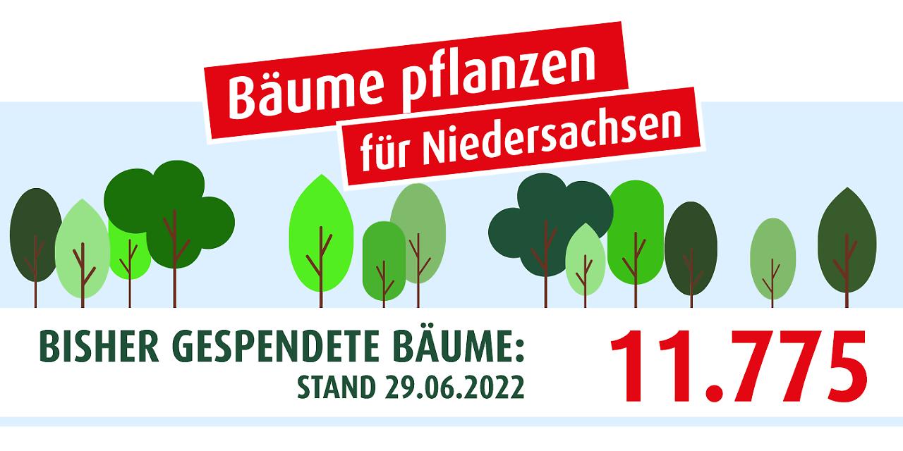 0629_Baeume_pflanzen_Baumzaehler_Website.png