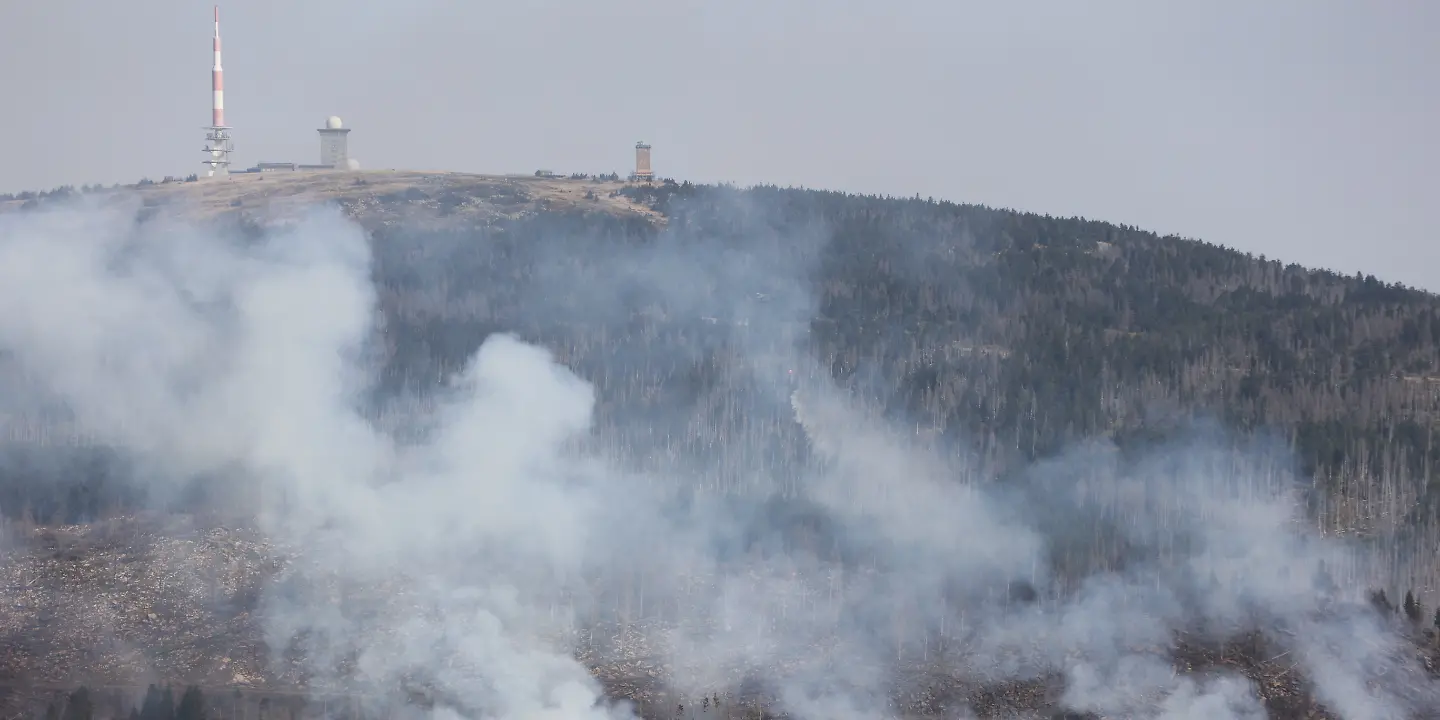 WaldbrandHarz.jpg