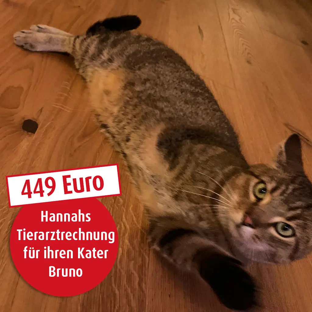 Gewinner_Hannah_Kater_Bruno.png