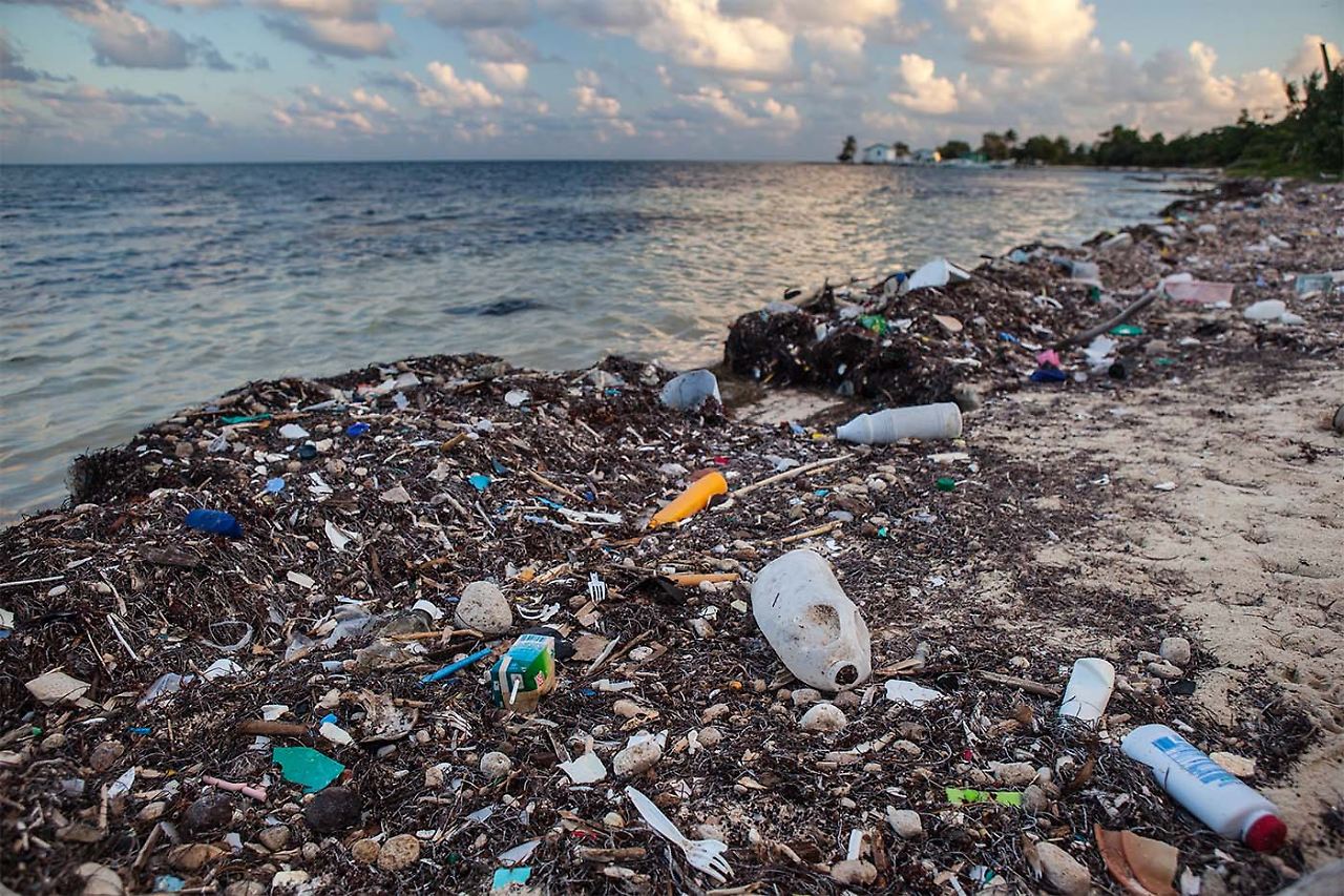 Täglich landen ganze Müllberge in den Weltmeeren. 

